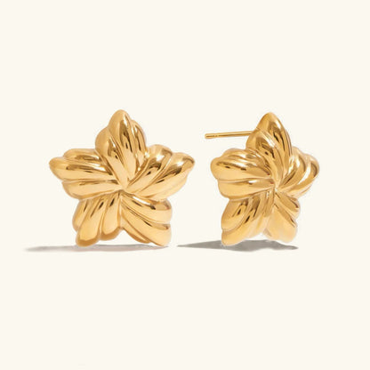 [Royal&Vicky]Thymes Gold Star Ohrringe