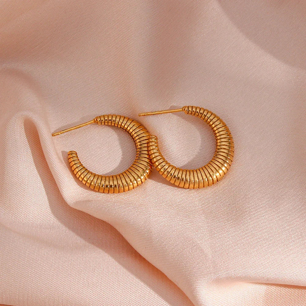 [Royal&Vicky]ベイリー フープピアス